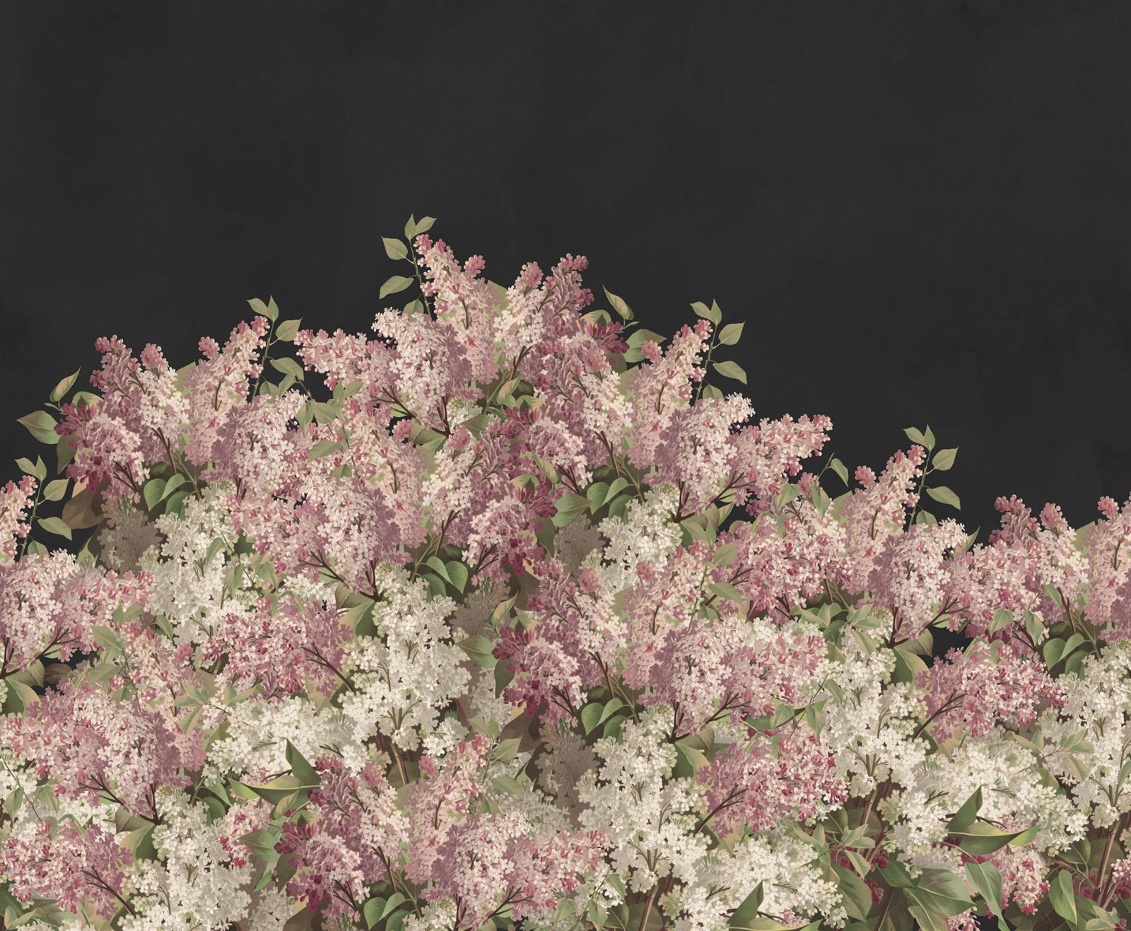 Syringa Flowers, Black, Rebel Walls
