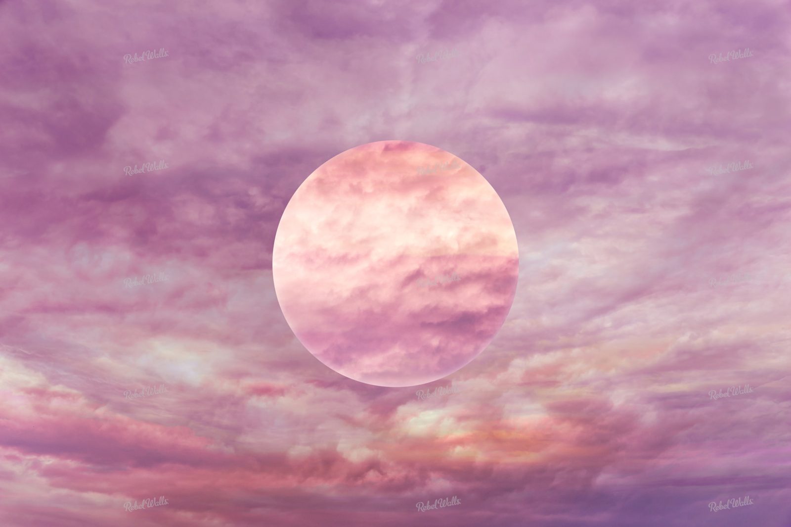 Pink Moon, Rebel Walls