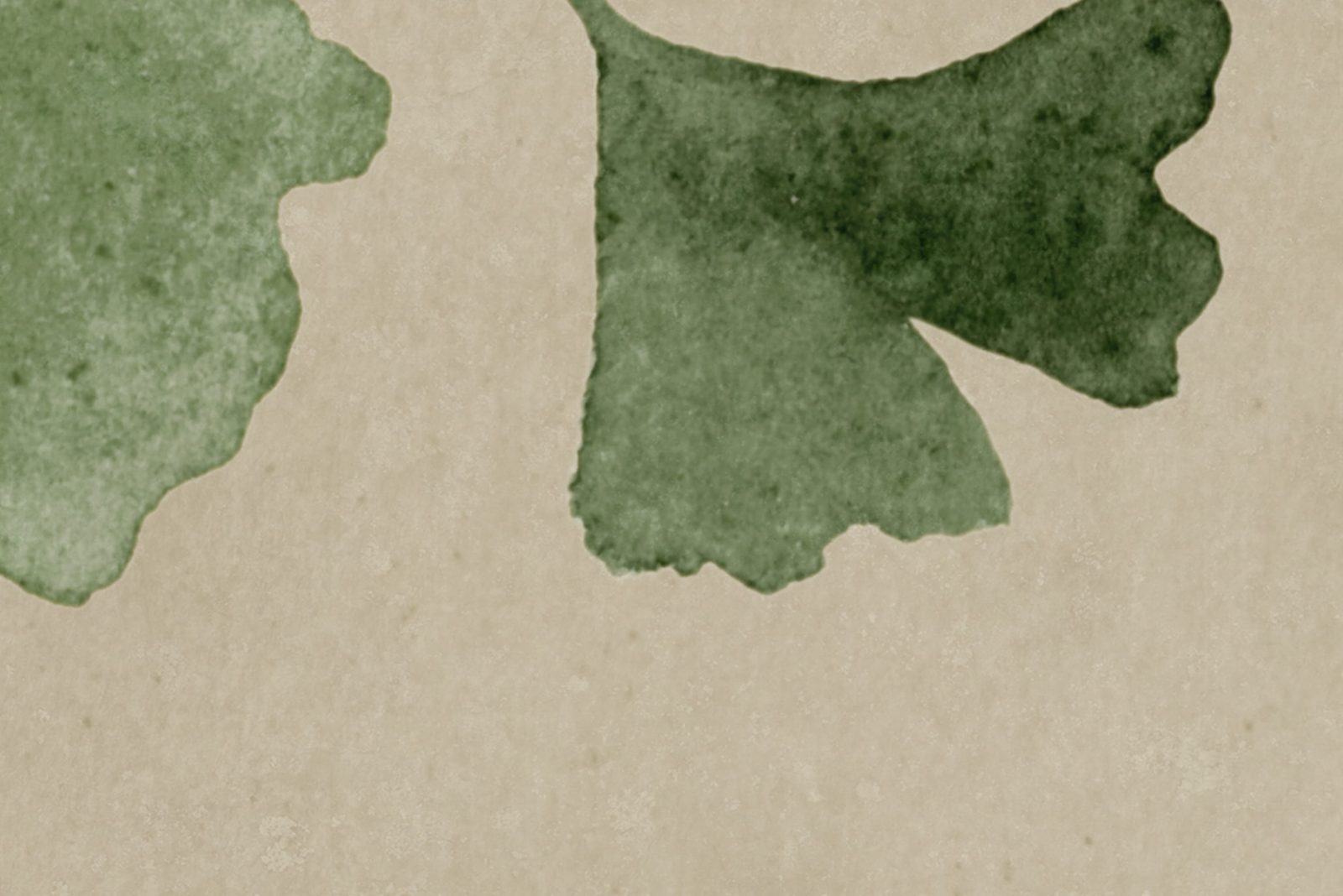Maidenhair Tree, Green, Rebel Walls 4