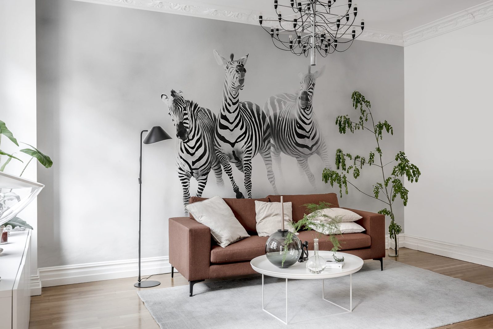 Graphic Zebras, Rebel Walls 2