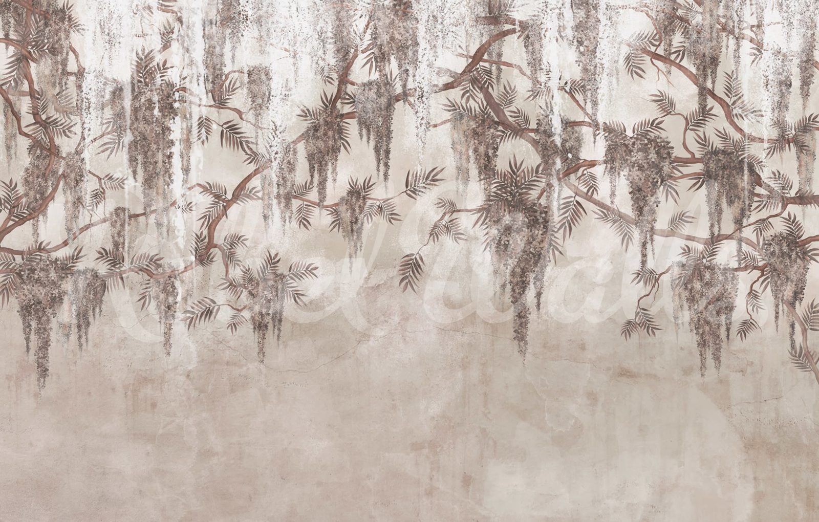 Wisteria Dream, Rebel Walls