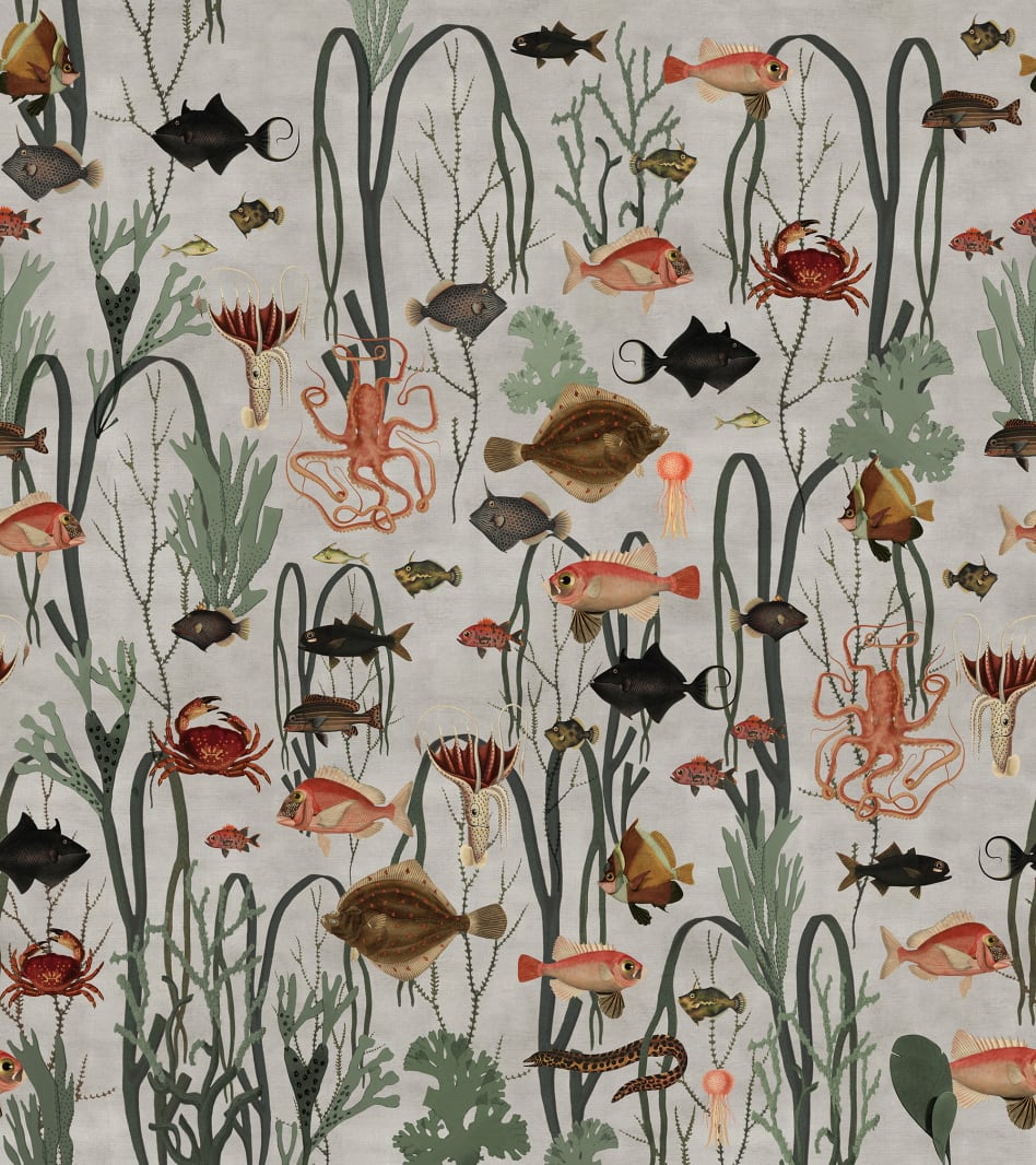 Aquatic Life, Rebel Walls
