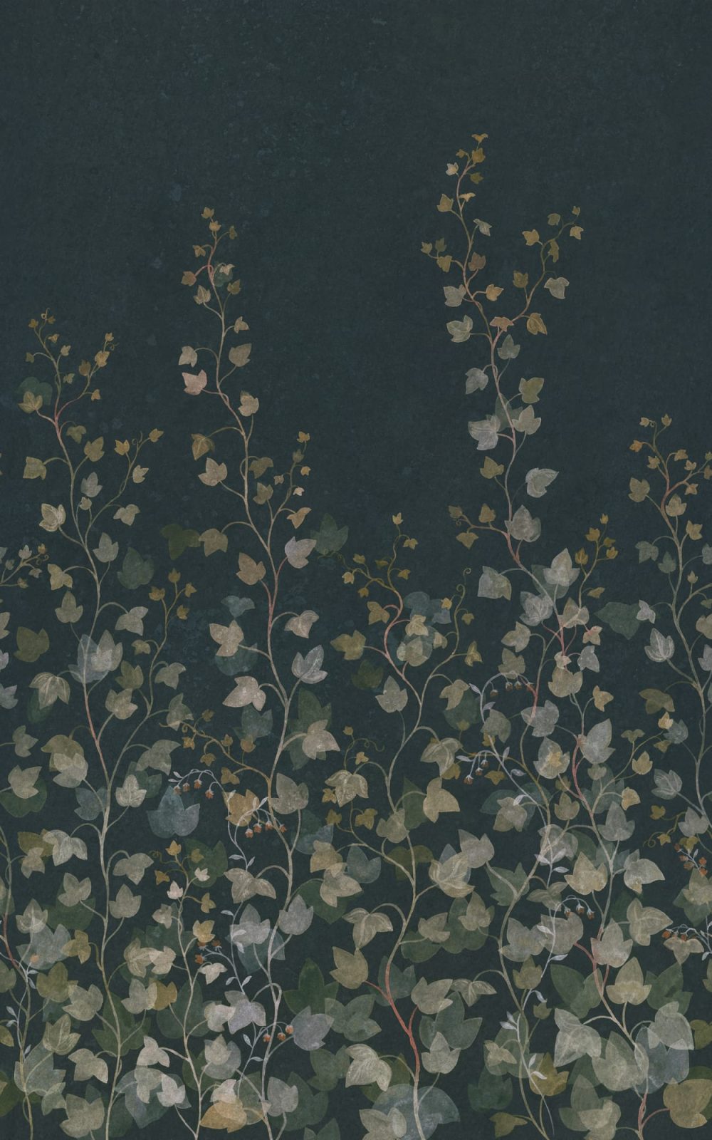 Ivy, Midnight Blue, Sandberg