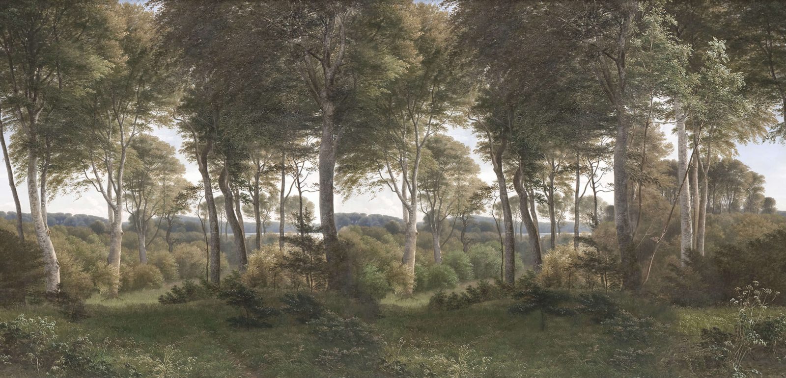 Danish Forest, Morning, Rebel Walls