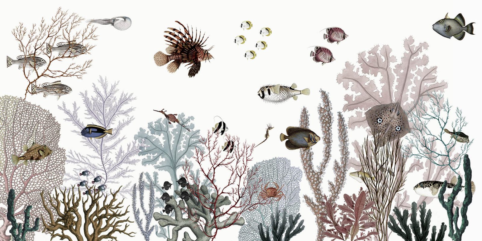 Roaring Reef - White, Kikki Belle