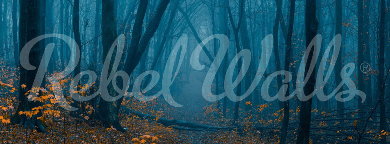 Hazy Forest, Rebel Walls