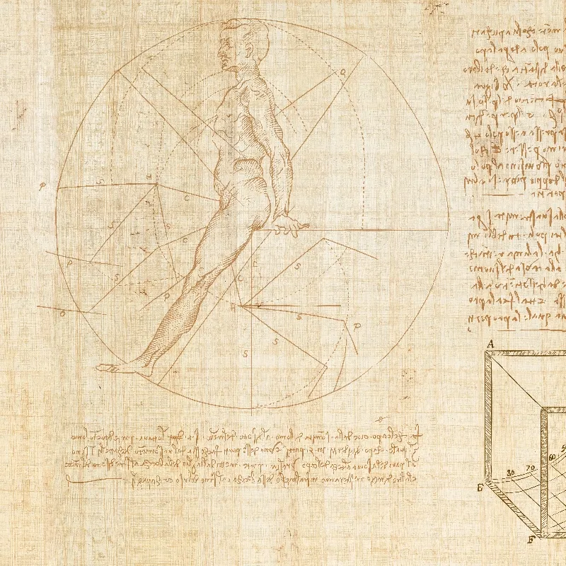Anatomy of numbers, VLAdiLA 5