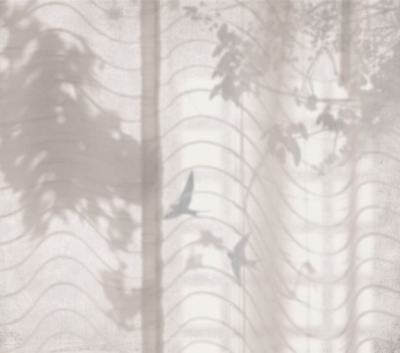 Tres Tintas & Rebel Walls, Hortus Umbra