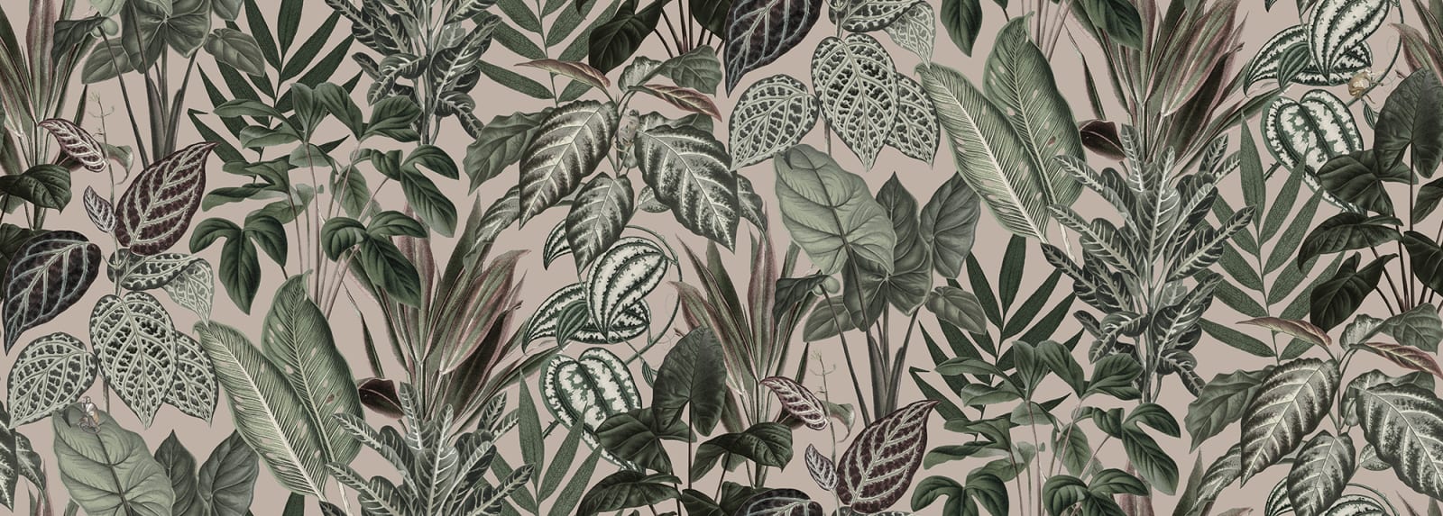 Mischievous Monkeys, Pastel Pink, Rebel Walls