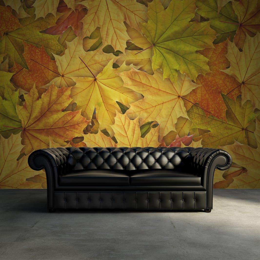 Autumn Leaves, Rebel Walls 3