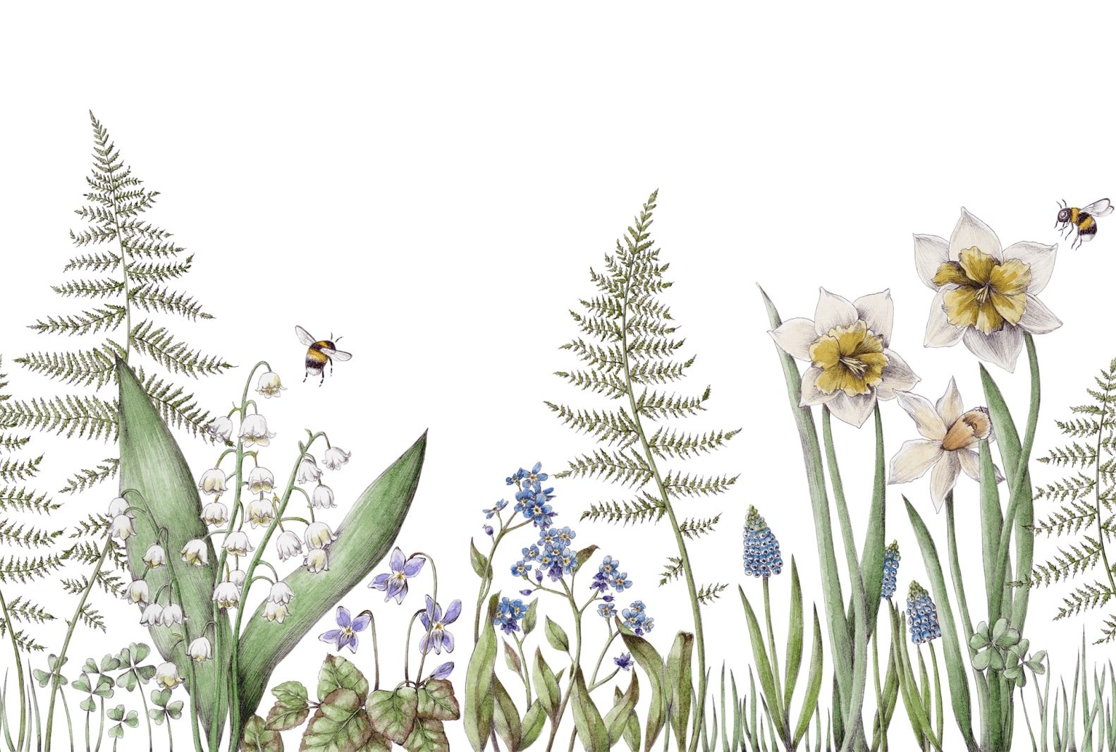 Bumblebee, White, Rebel Walls