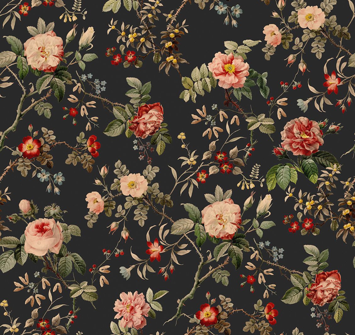 Thorn Rose, Rebel Walls