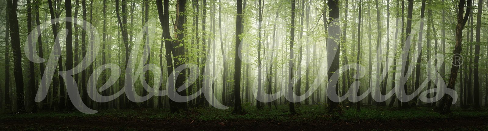 Dawn in the Forest, Rebel Walls