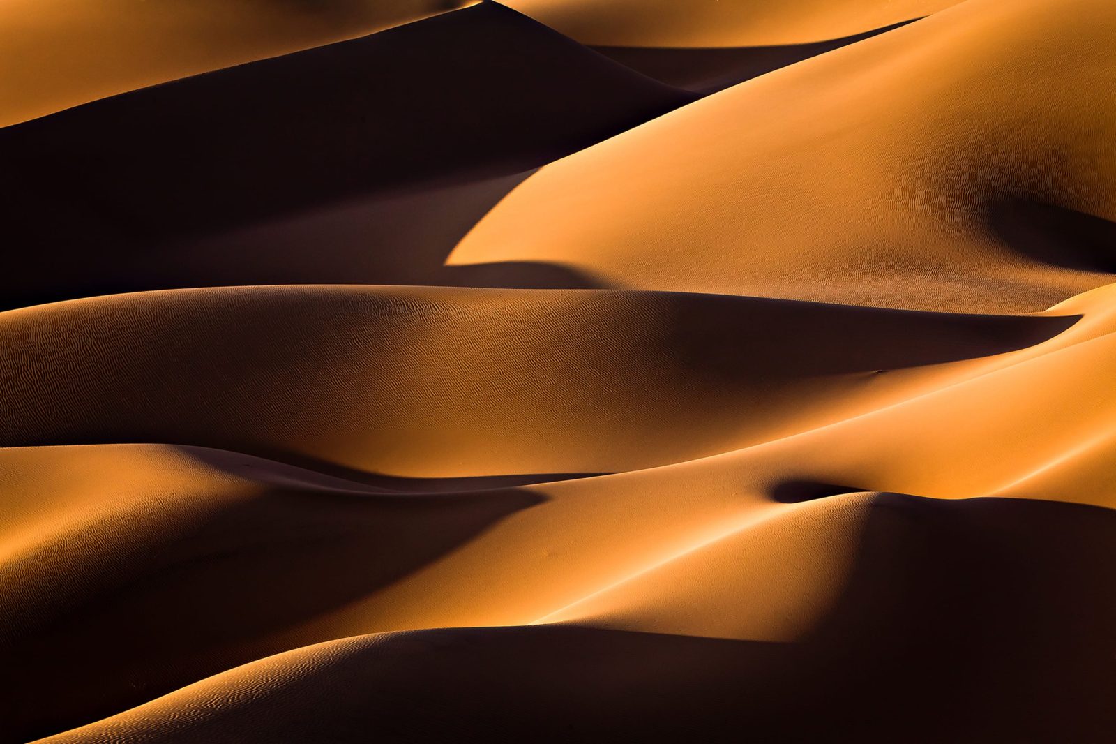 Sahara, Rebel Walls