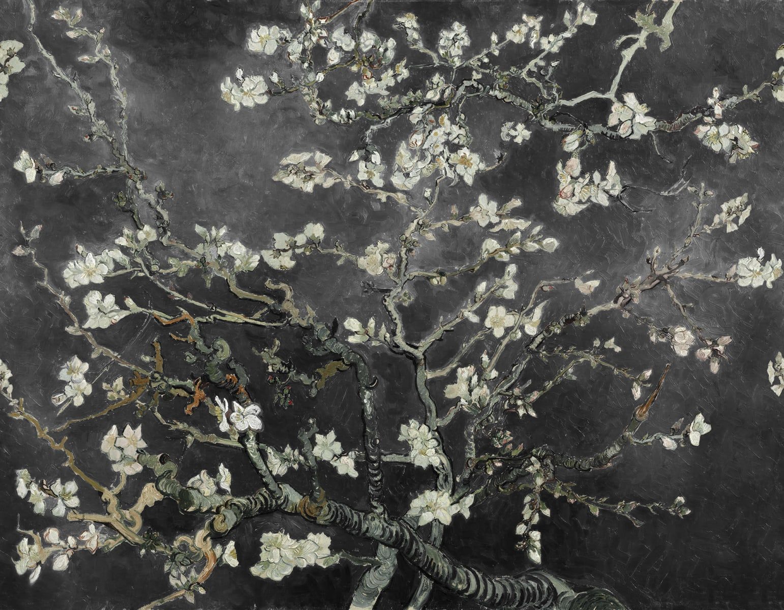 Almond Blossom, Black, Rebel Walls