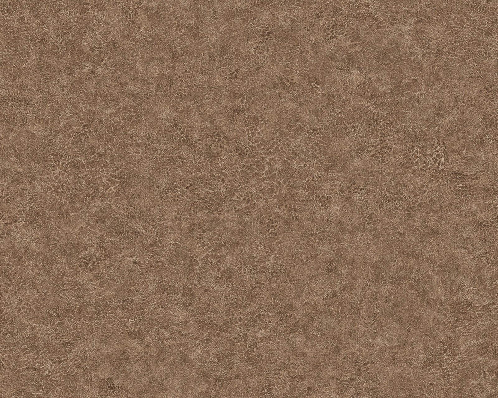 Elephant Leather, 64735616, Coordonne