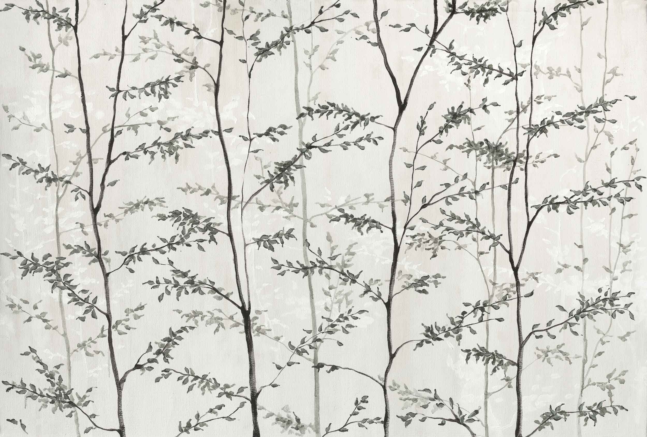 Woods, Silver, Coordonne