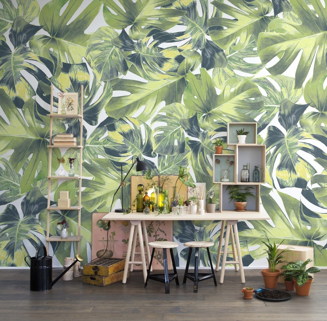 Welcome To The Jungle, Rebel Walls 2