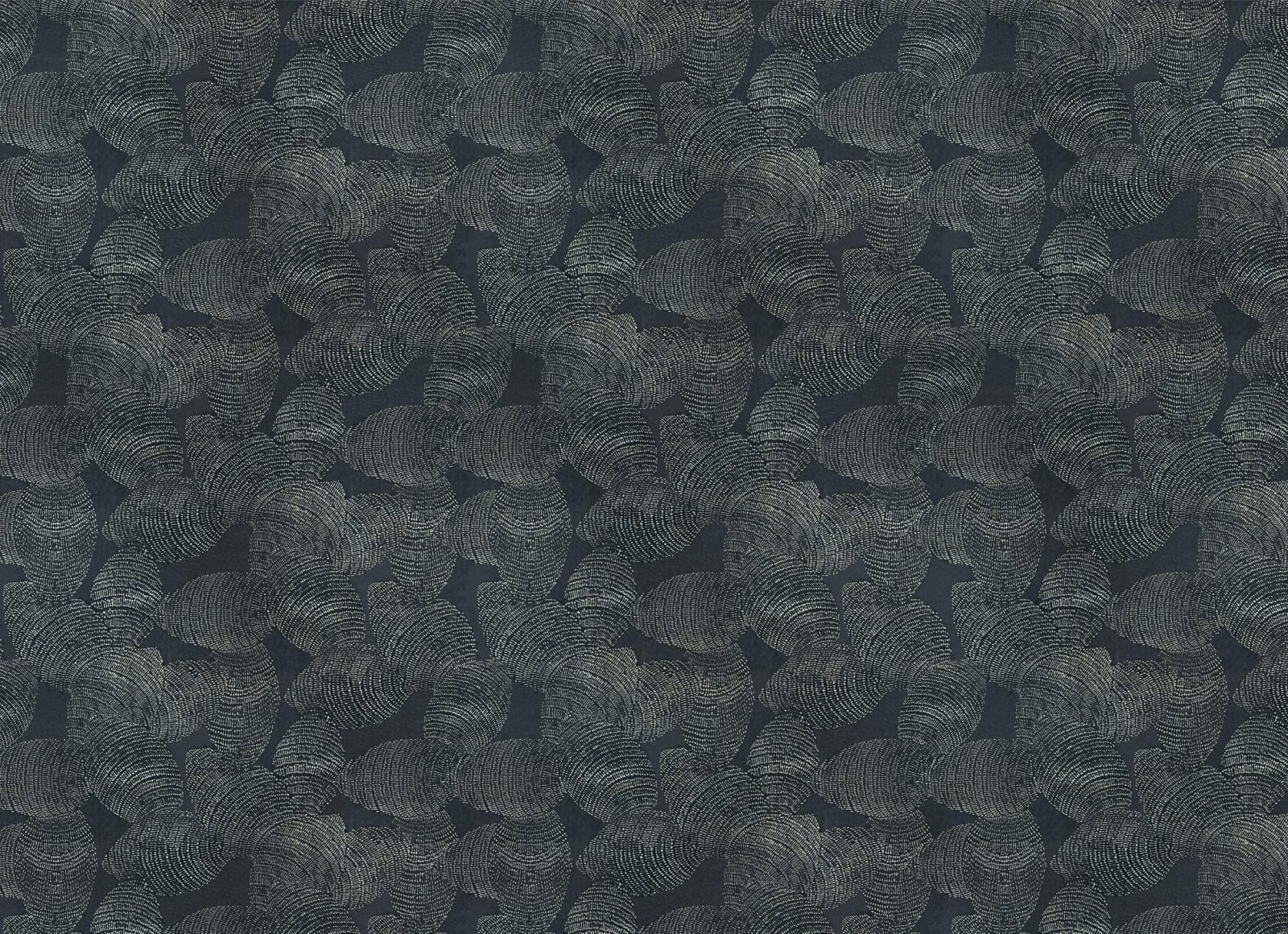 Lignite, Silver, Coordonne