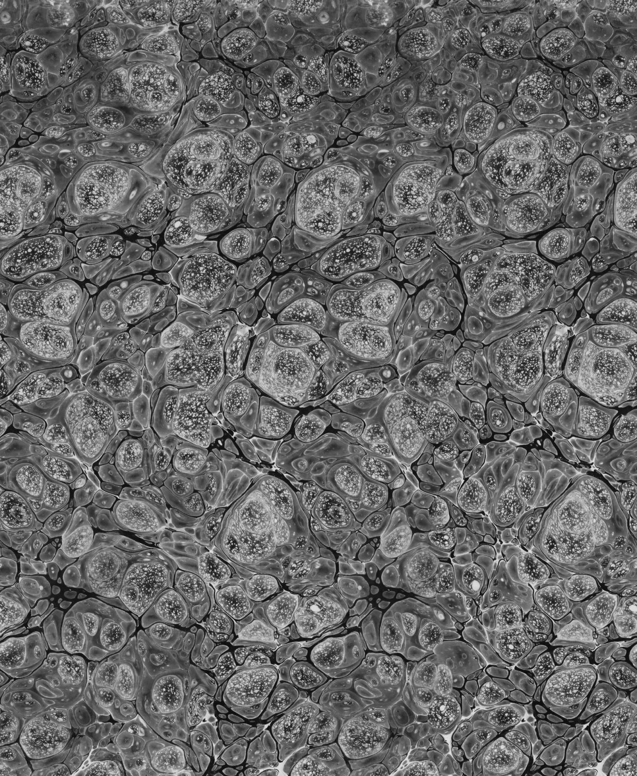 Marbling, Graphite, Rebel Walls