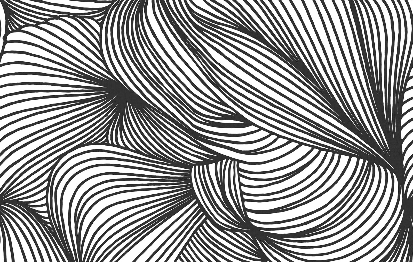 Opulence Lines, Graphite, Rebel Walls