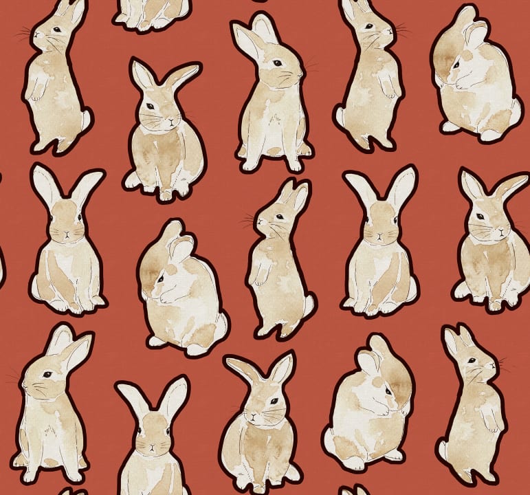 Year of the Bunny, Red, Rebel Walls