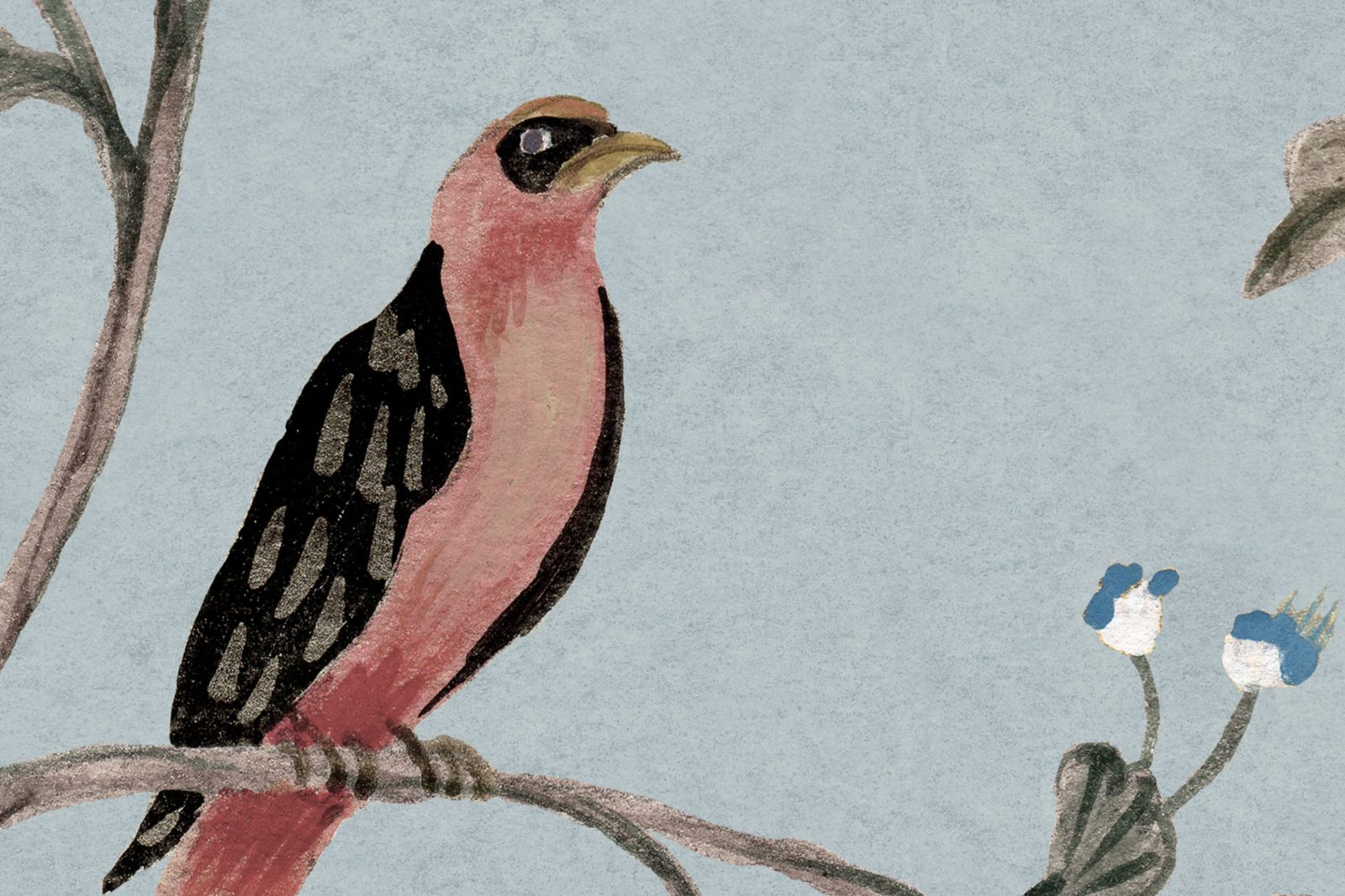 Songbird Mural, Blue, Rebel Walls 4
