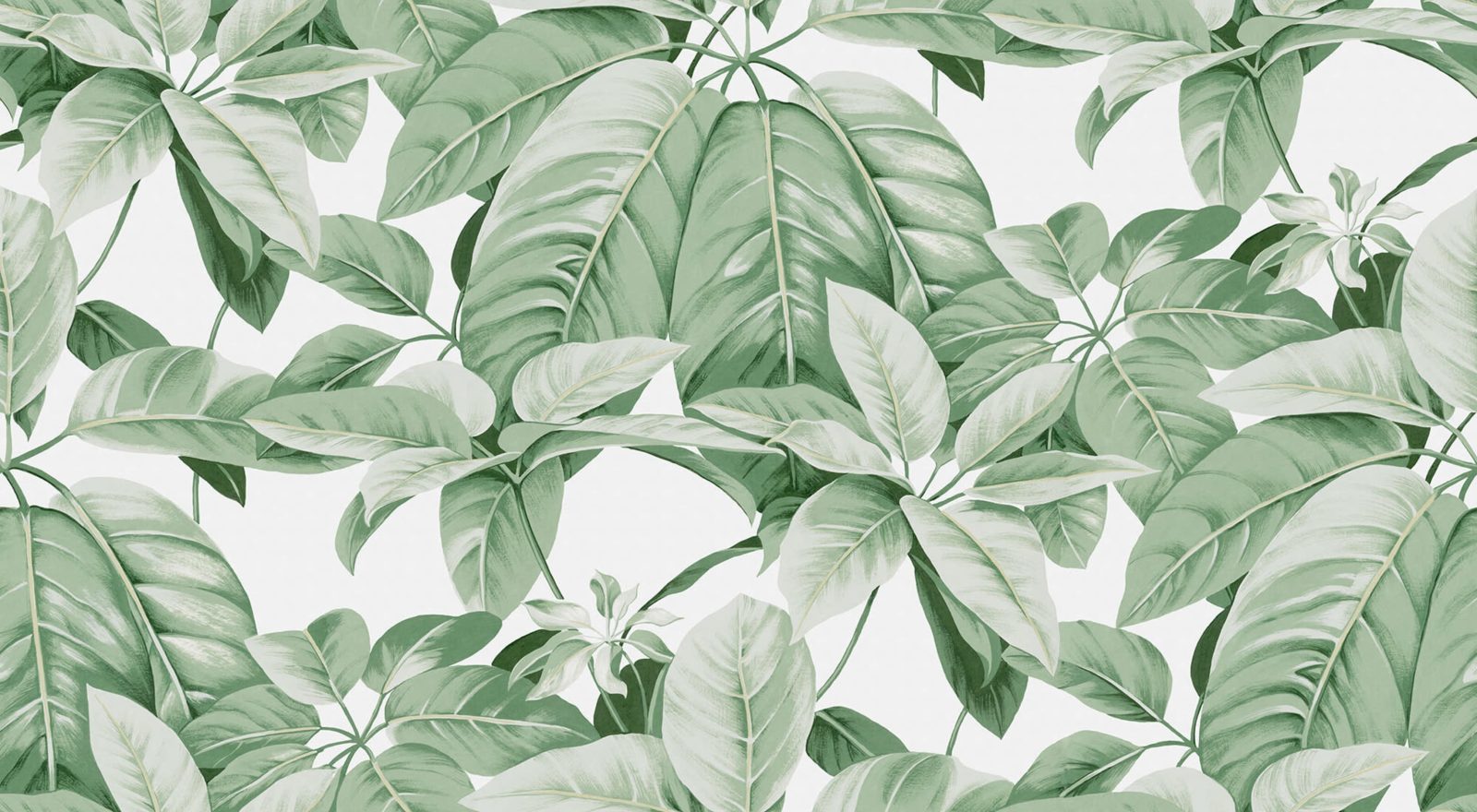 Chestnut, White, Rebel Walls