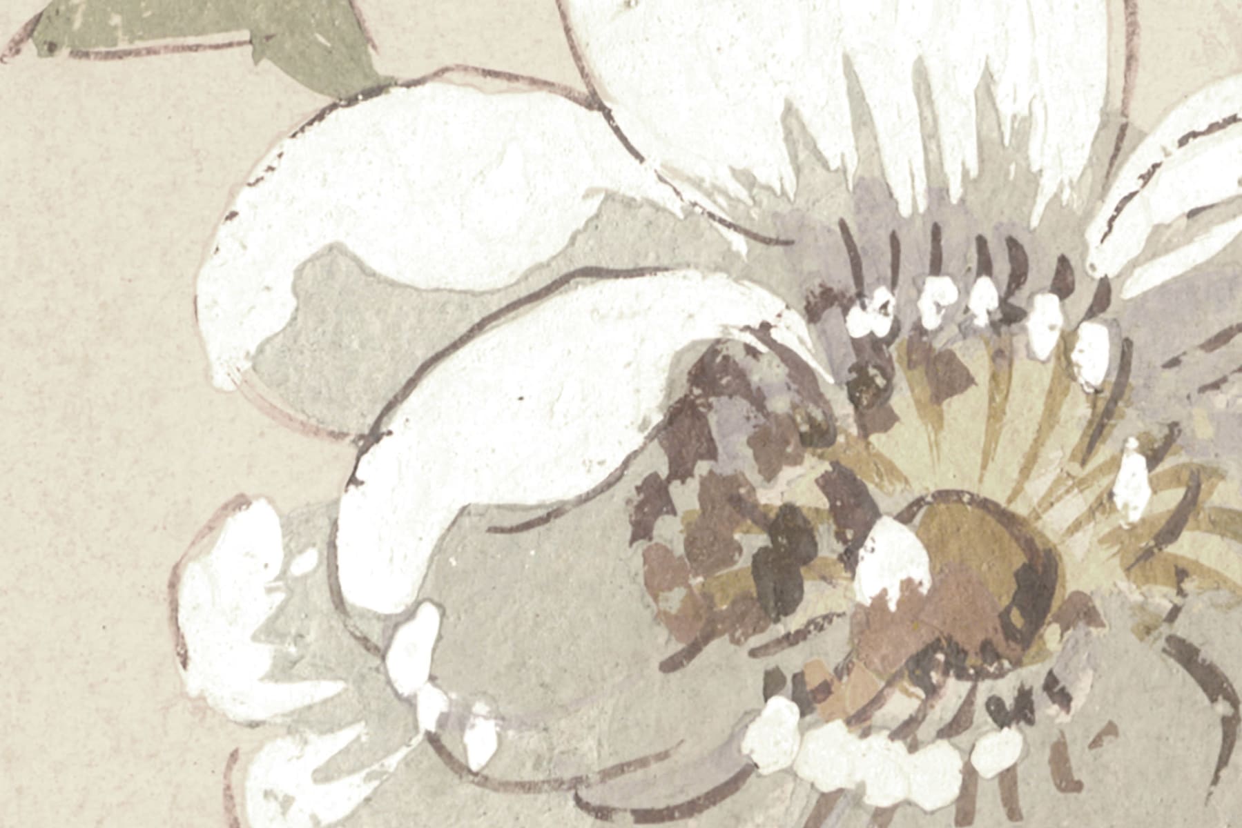 Roses, Beige, Rebel Walls 3