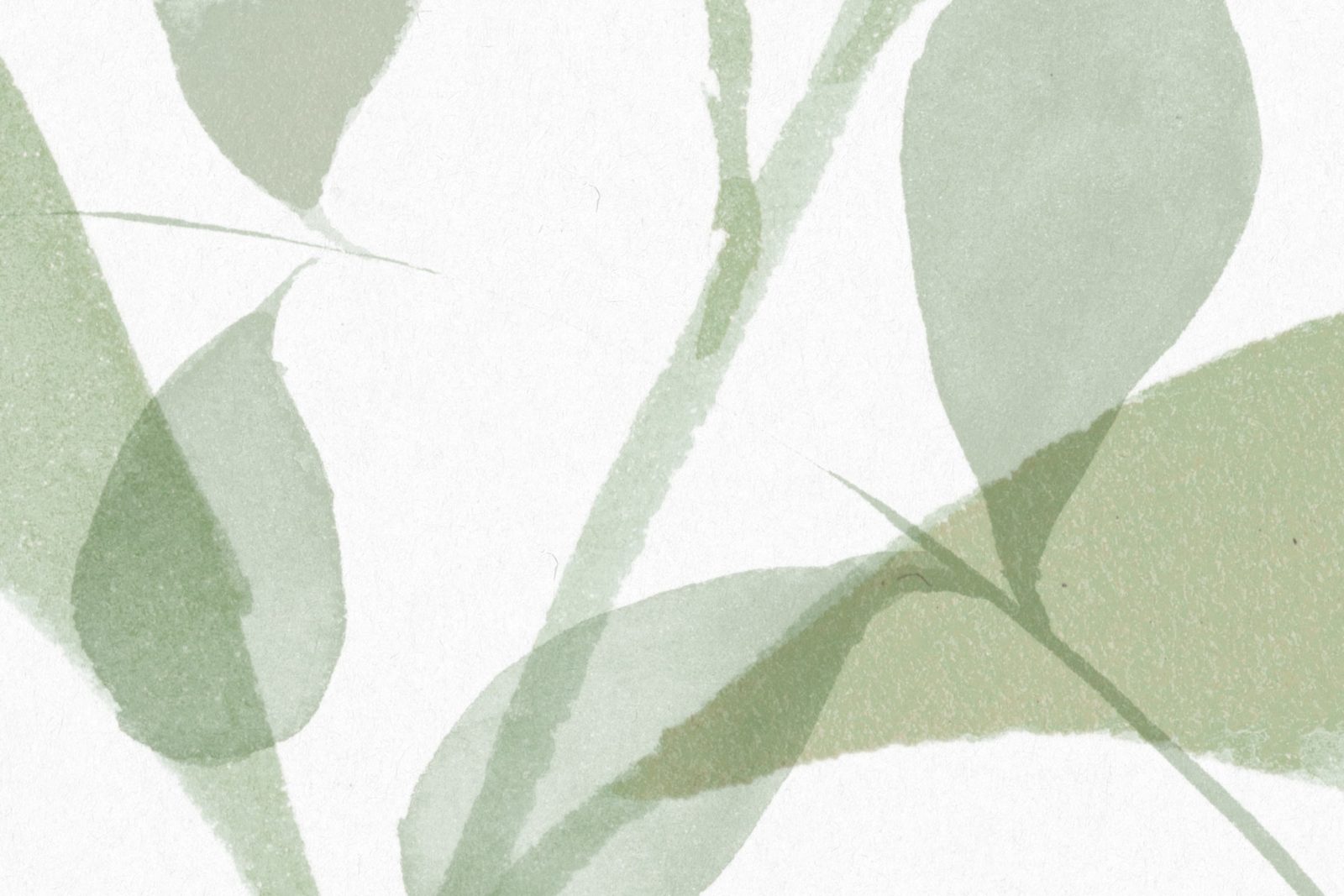 Grow, Green, Rebel Walls 4