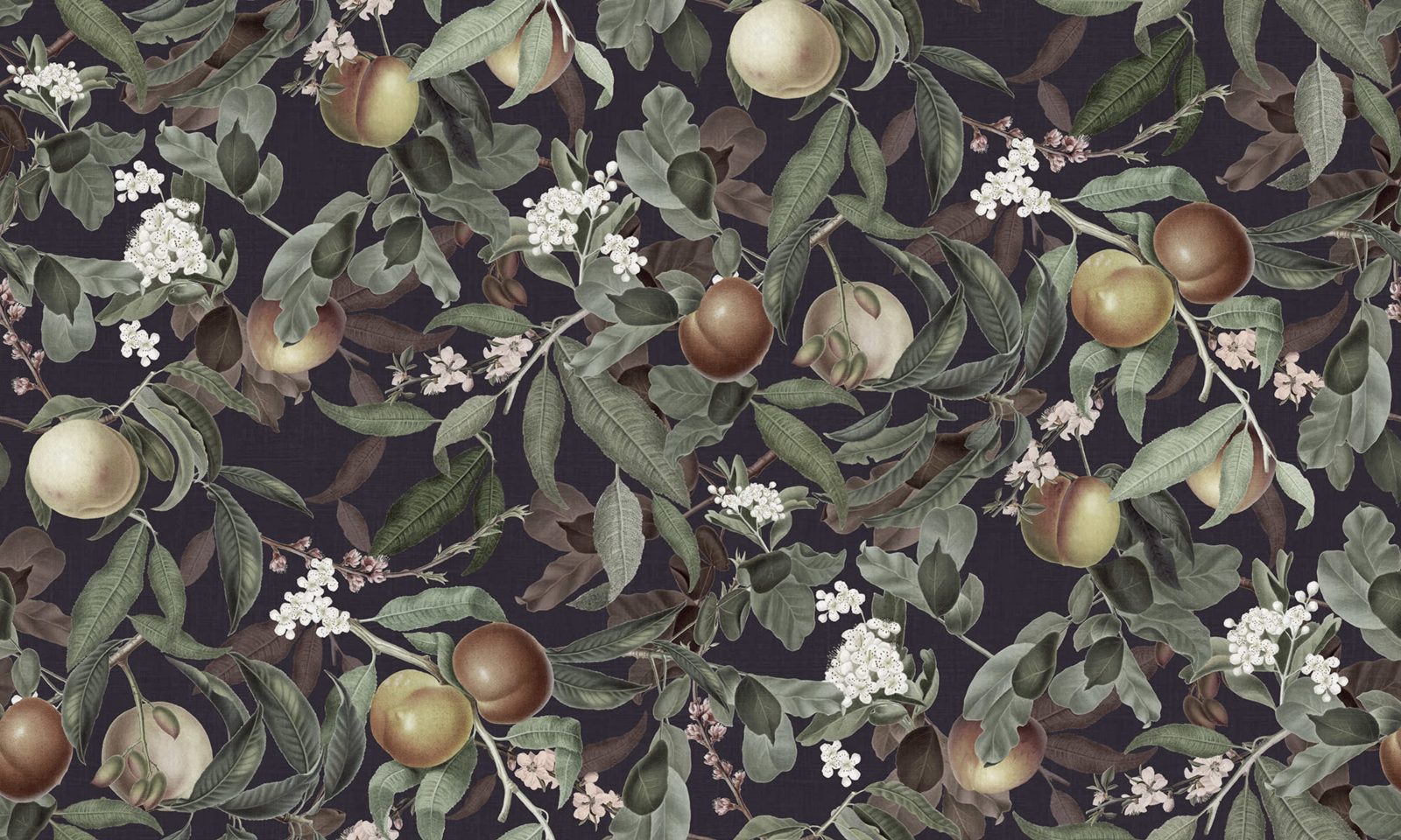 Peach Valley Bold, Midnight, Rebel Walls