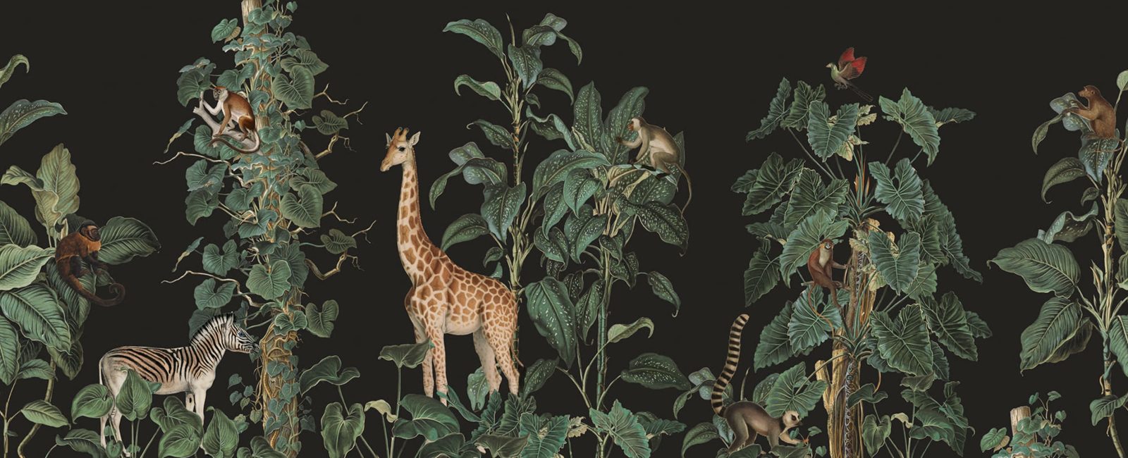 Wildlife Stroll, Black, Rebel Walls