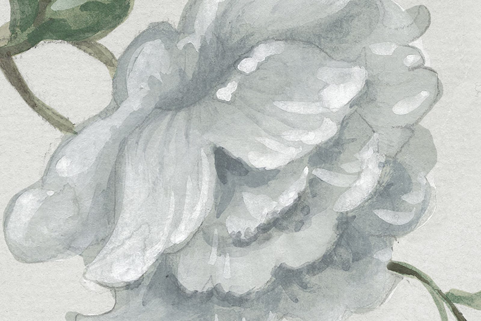 Grandiflora, Pearl, Rebel Walls 4