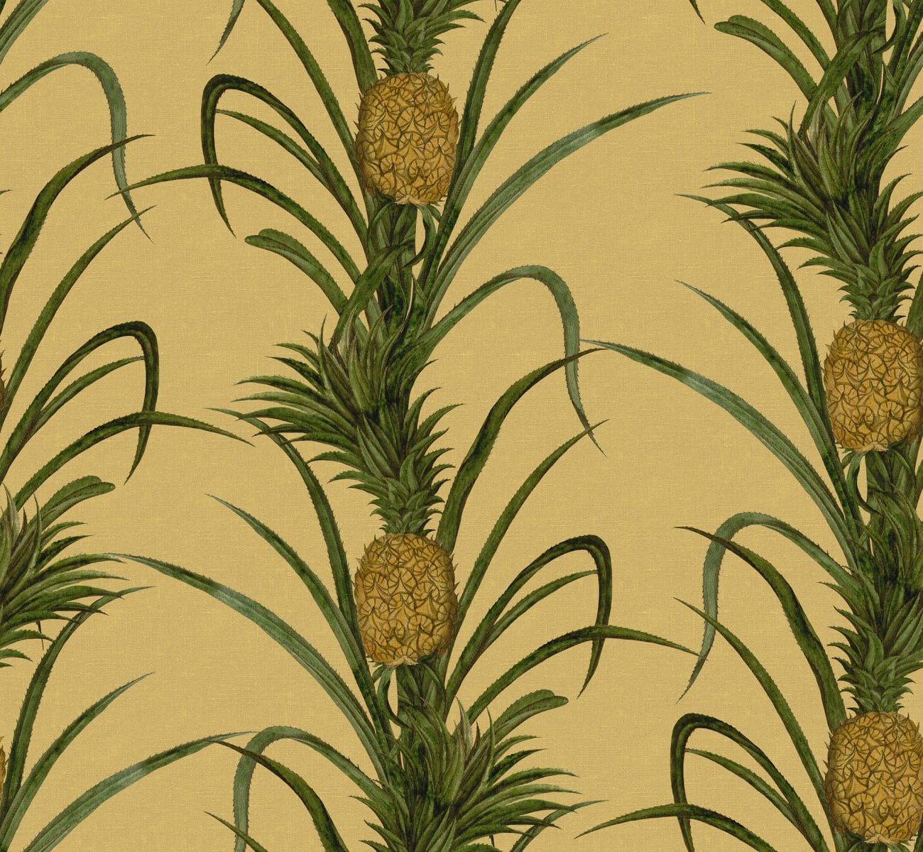 Pineapple, Sunshine, Rebel Walls