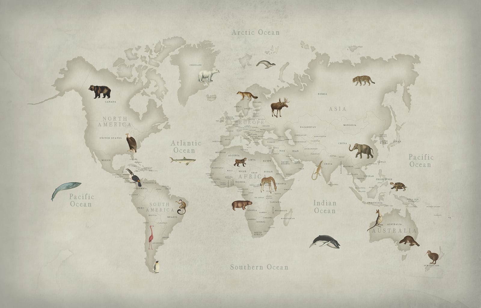 Animal World, Rebel Walls