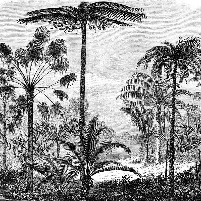 Gray Amazon, VLAdiLA
