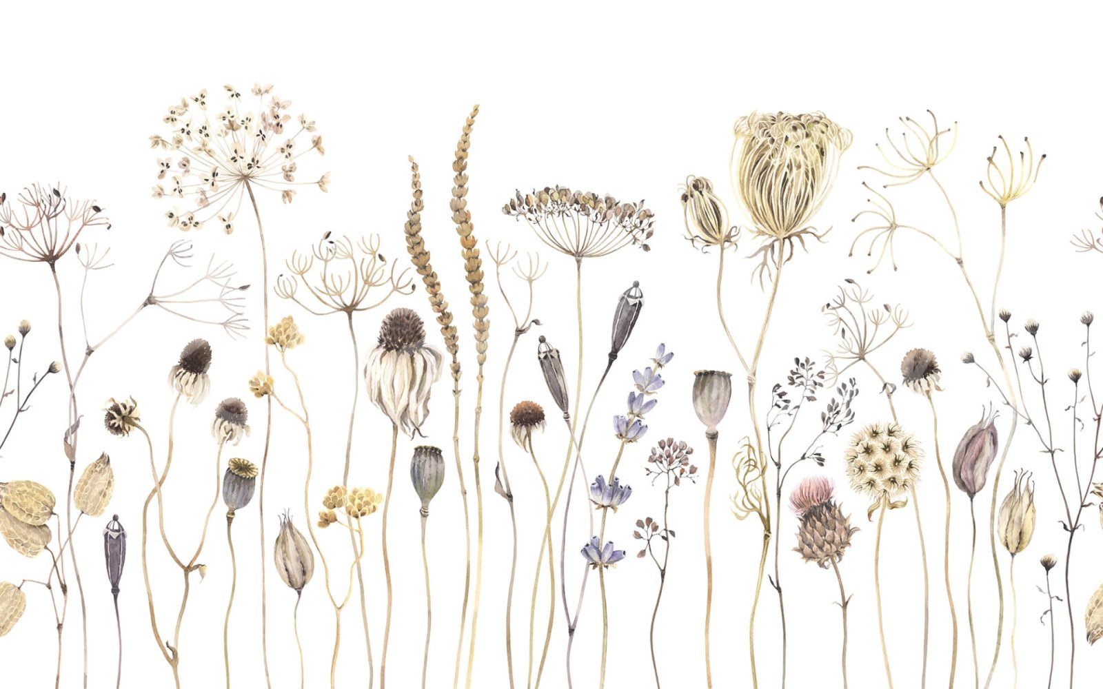 Dried Flower Meadow, Beige, Rebel Walls