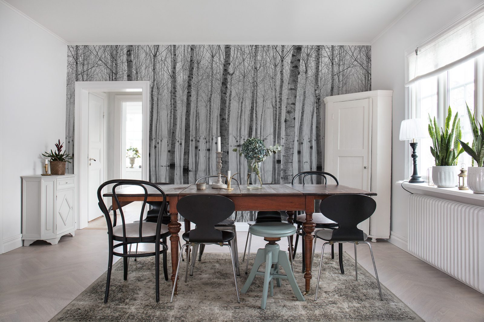 Birch Echo, Rebel Walls 2