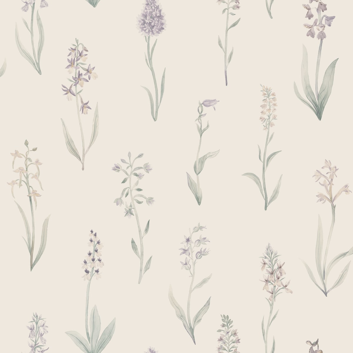 Alma, Lilac, Sandberg, 5.3mp / rola