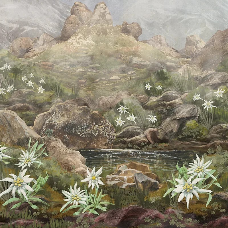 Elysium, VLAdiLA 4