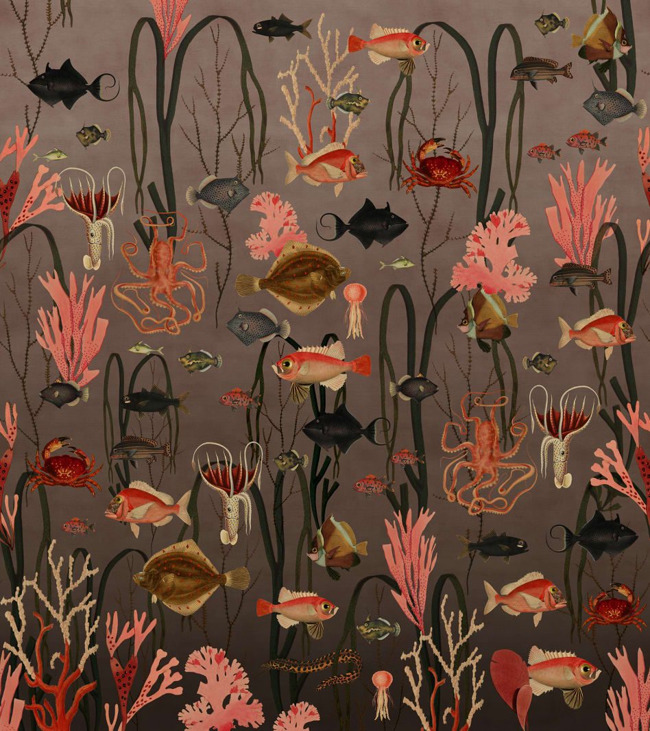Aquatic Life, Coral, Rebel Walls