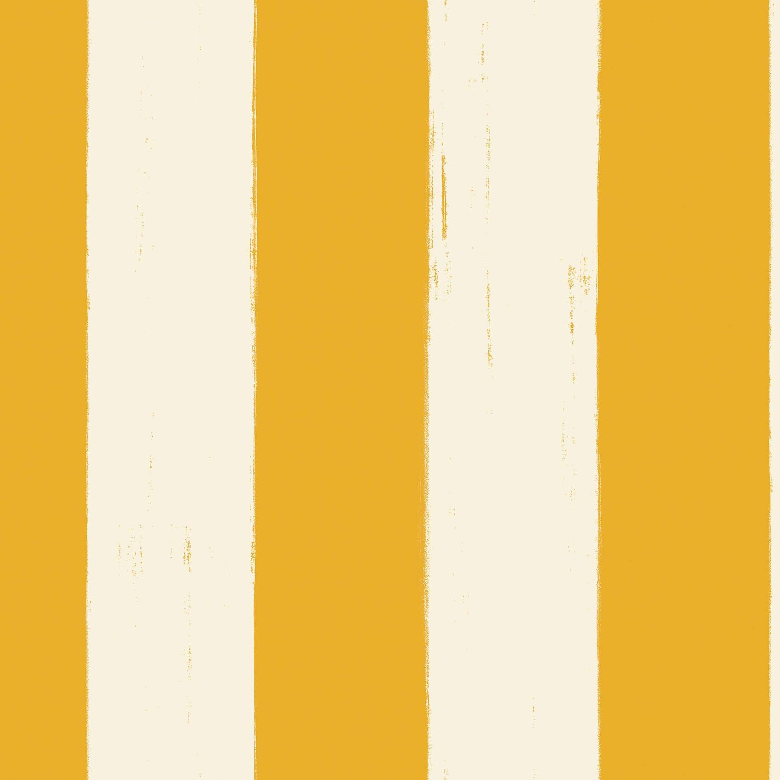 Toldo, Golden, Coordonne, 5mp / rola