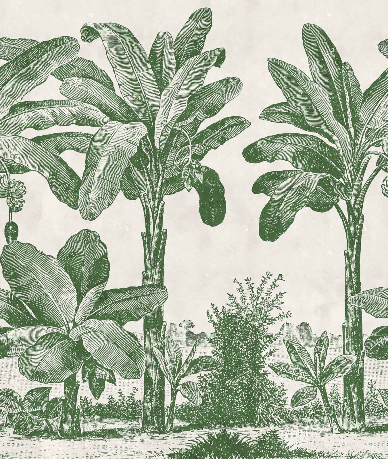Timeless Tropics, Green, Rebel Walls