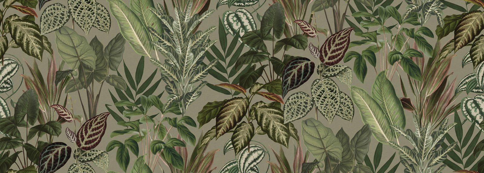 Mischievous Jungle, Sand, Rebel Walls