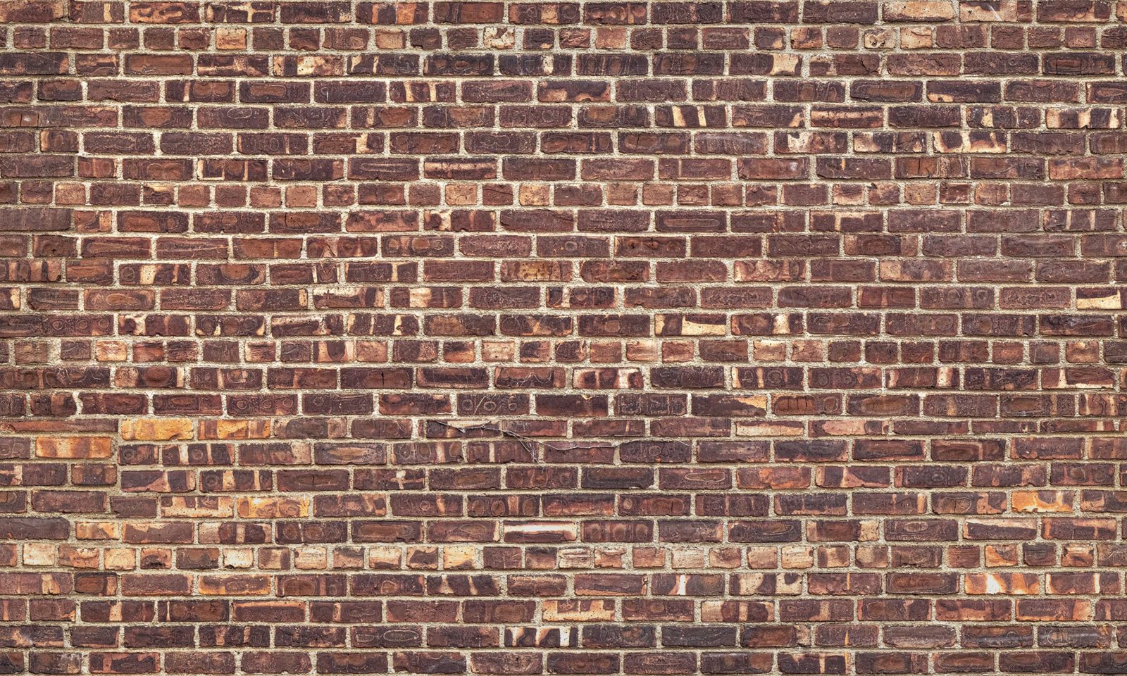 Symbol Bricks, Rebel Walls
