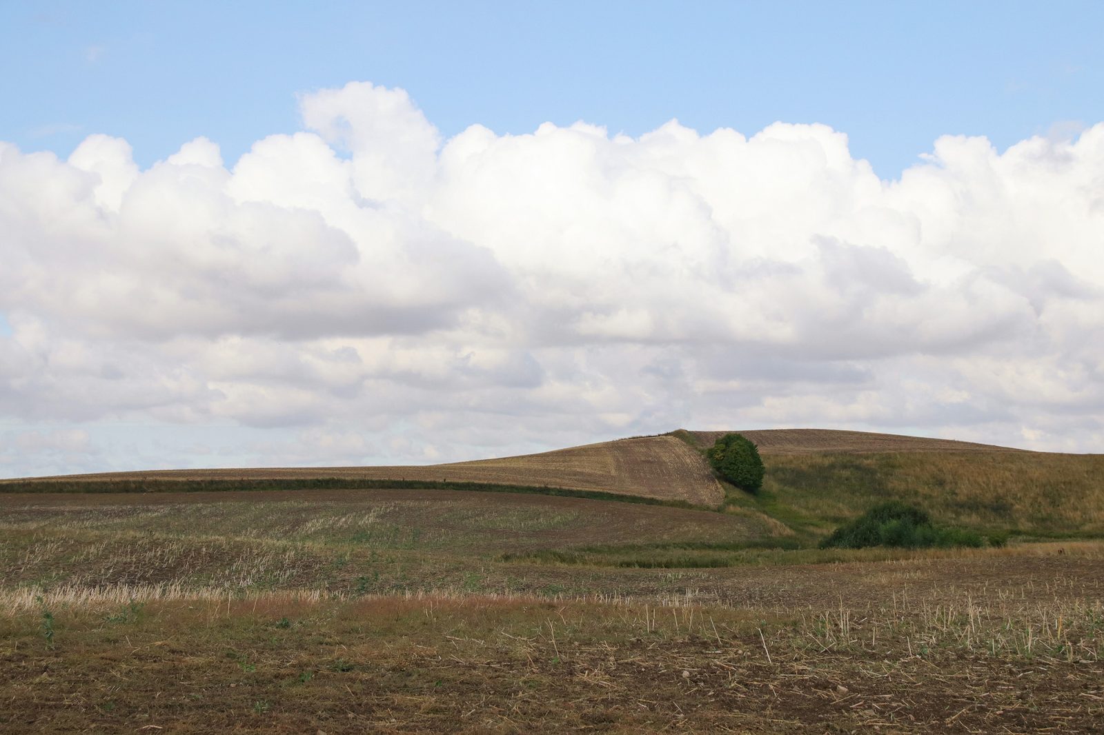 Cropland, Rebel Walls