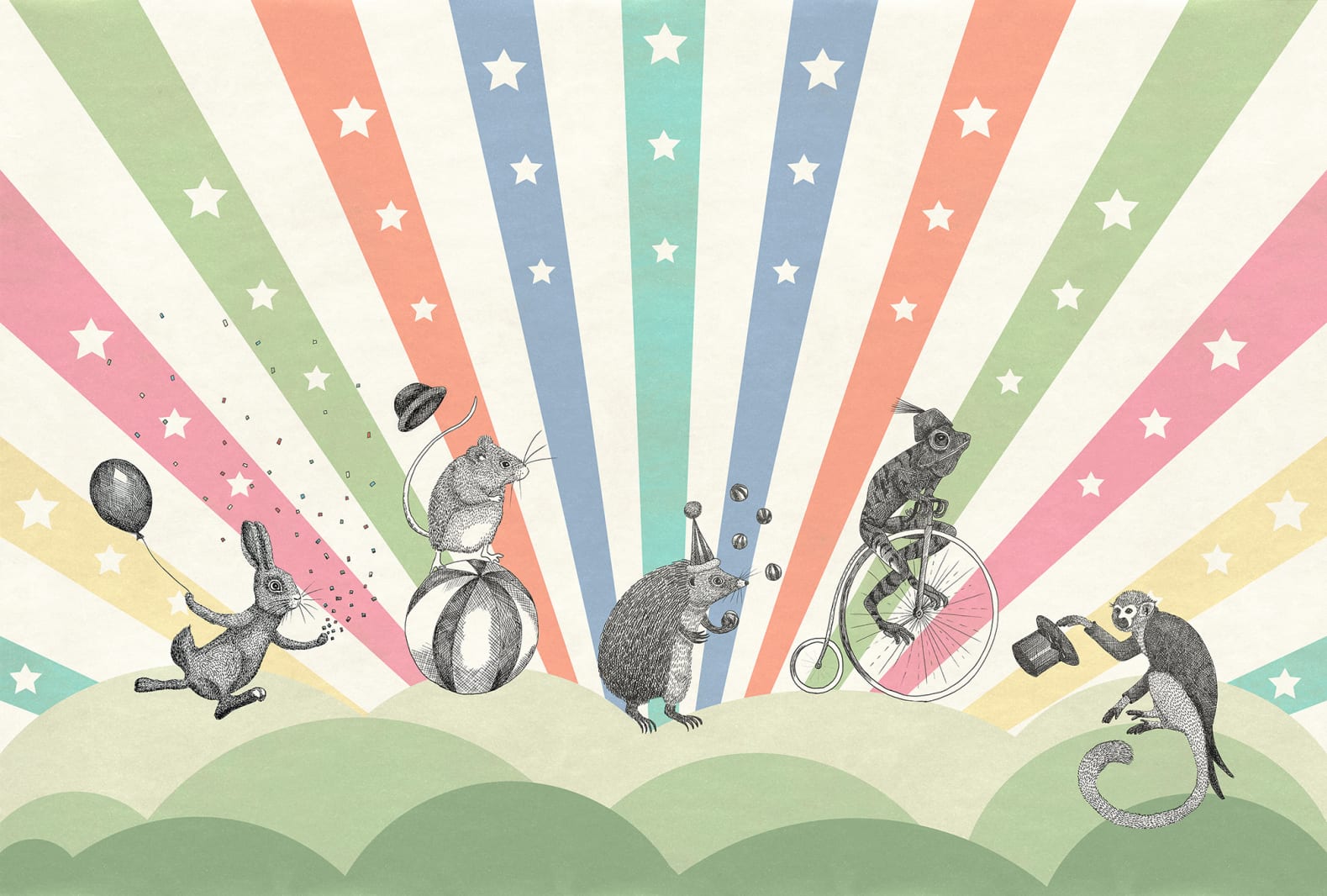 Circus, Rainbow, Rebel Walls