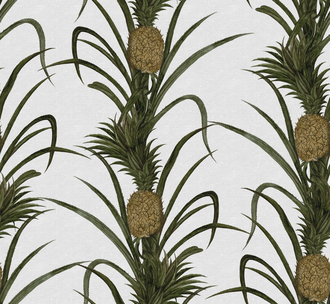 Pineapple, Rebel Walls