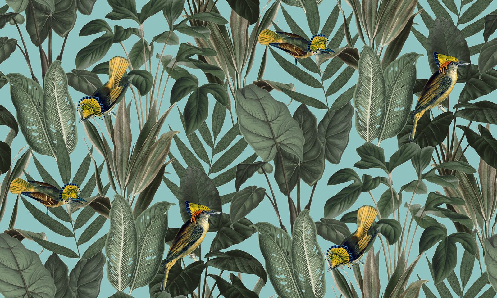 Yellow Bird, Rebel Walls