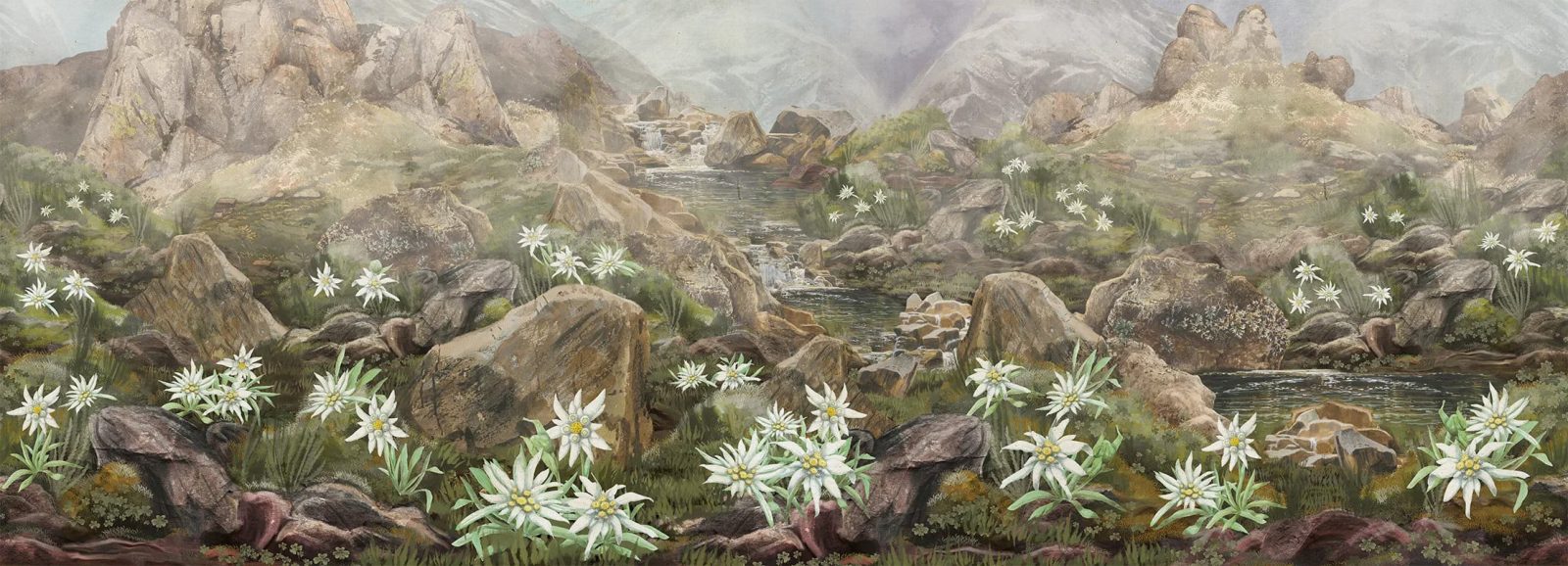 Elysium, VLAdiLA